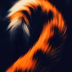 80092882259493367463484569941862688859981243870241048997485309182393819594753