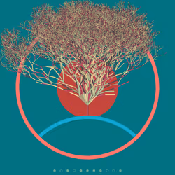 74168867016011539093366687608765447348507224284888477074887989987058015797249