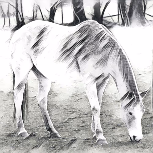 Item #54593652383459731767777383320415424164820202733853921615926635518924265881601 Media