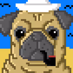 Pug 5