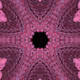 77077131467420648605650977251707435865549248741388920697615720764885740552193