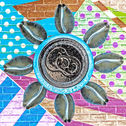 Cola Flower 2