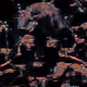 107085823462215735122403473906220261293452165751704639390806950447431368572929