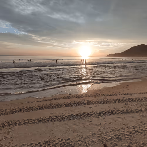 Item #76789129689388299706655966014022744743344792406865654046008114612568330338307 Media