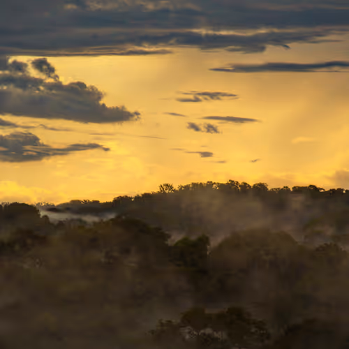 45576425564904372626892608315059614446222544919153294335331944283052645023745