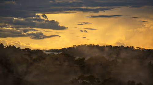 Item #45576425564904372626892608315059614446222544919153294335331944283052645023745 Media