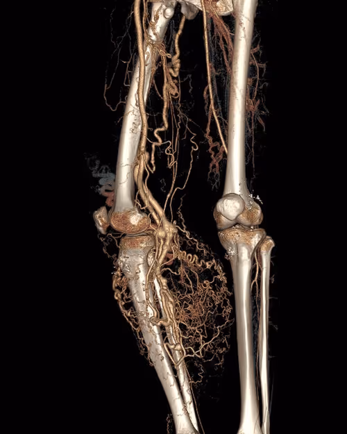 Item #92452260003645856187117913575956440944242526976167187084281172465890376024065 Media