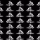 53476337566839075585081698904779889754387427615322184986246203341740888293377