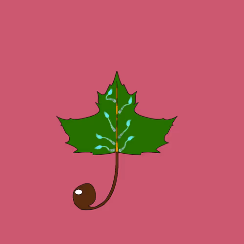 Item #67442861663334708568431626599499864796798009138674433109352703611512851267585 Media