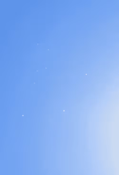 Item #32274049532094064022590346315477936140783171184988610455494456635284904738817 Media