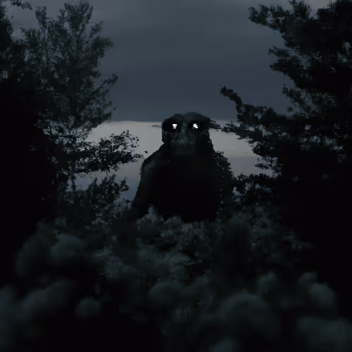 Item #55076233600112078708866067565252617229438693518749648969893021290632254062593 Media