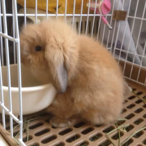 Untitled Collection #272977171