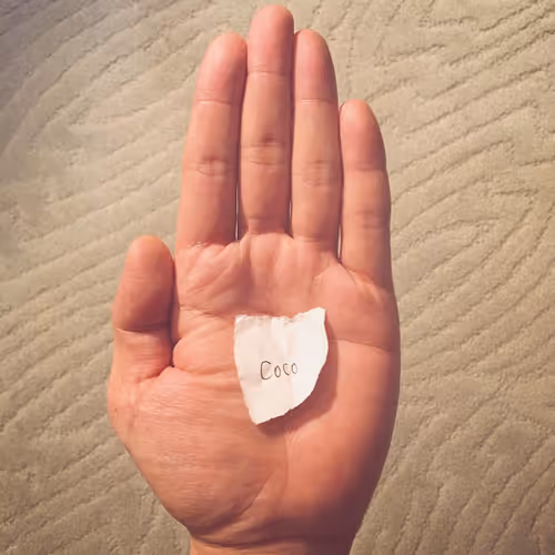 Item #110455694732608969814569818994873767172534514500119104126523392741993785327631 Media