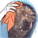 The Suspicious Dog #4