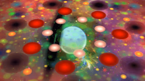 50684197605774142208935566748693813750684281578315025193761267692606511382529