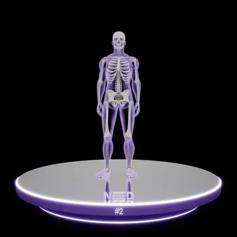 Item #58783896410153536570577946662135448876862726685621327340437200629222032277506 Media