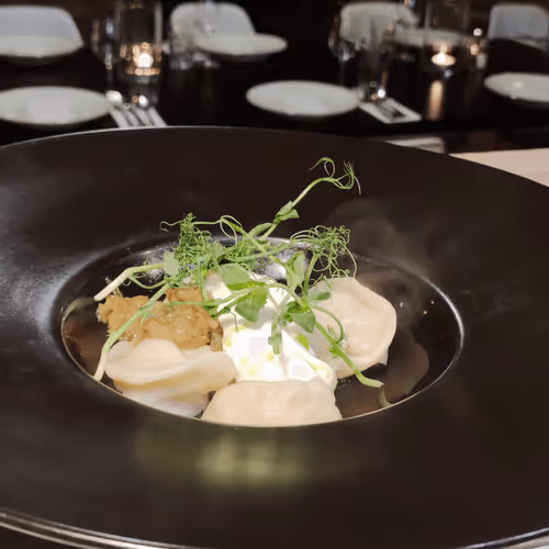 Untitled Collection #1881711533