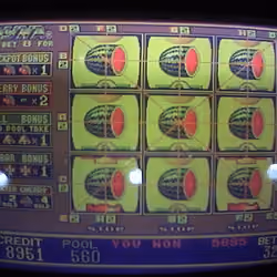 bet 32 | full watermelon jackpot CREDIT 8951 WON 5895
