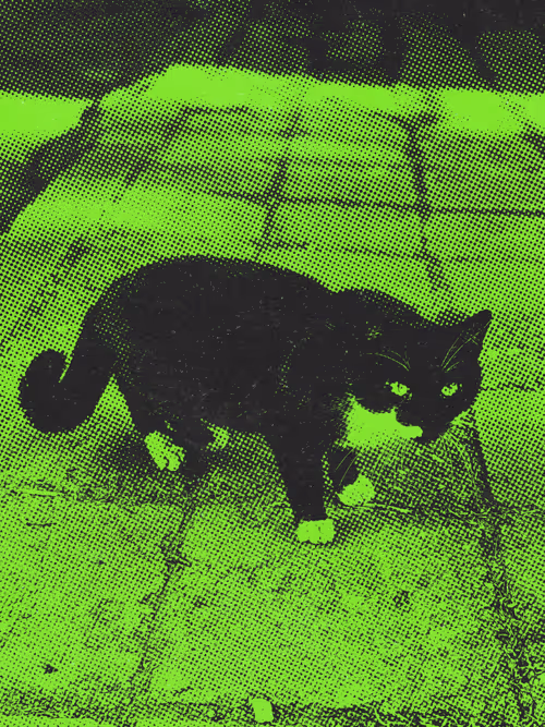 Item #102650025238985064889532626323507420633017859616961165632132730270662571065345 Media