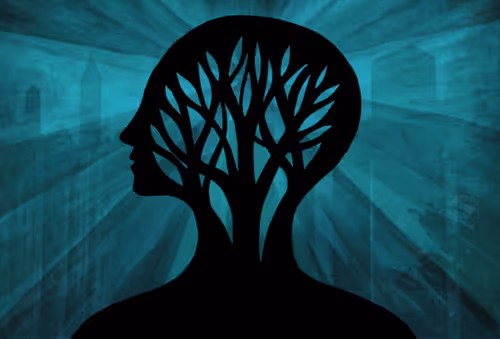 Item #1758017108070067974278433321247319066275387237759396501693338377018622869514 Media