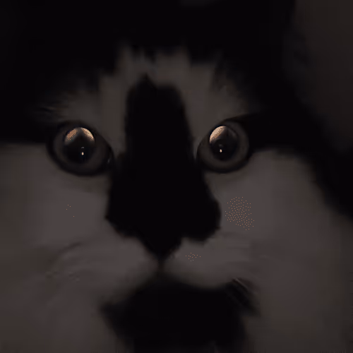 Item #13161020314009032005485822086301964352885579695205061807387255161886489968641 Media