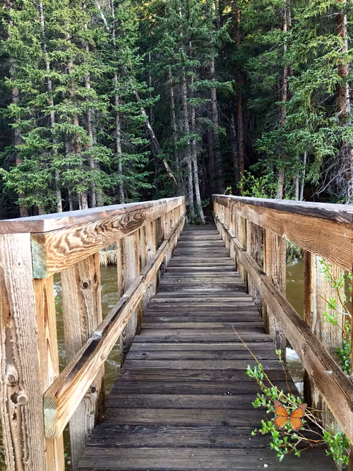 Item #108175385754913638577213036180834446424025282254093362741569171458728461860865 Media