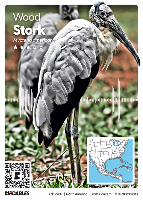 Item #26102390610025884852824728088708208703251930988161684574571712856086254977034 Media