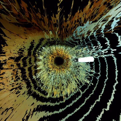 Item #47993365230904546224908061961898398429308184507692648287352000456459882070017 Media