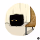 16488486045364233505431367691084507643707079012103532060865259047698175098881