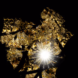 36002853305092959107981894446671279209236054033094961003771345083547338670081