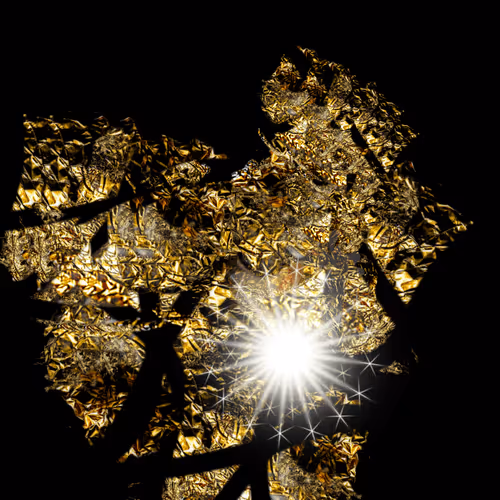 Item #36002853305092959107981894446671279209236054033094961003771345083547338670081 Media