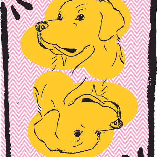 Item #51224915966700160774538338430496236534362062465209534242812469033153891139644 Media