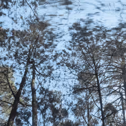 Abstract Tree