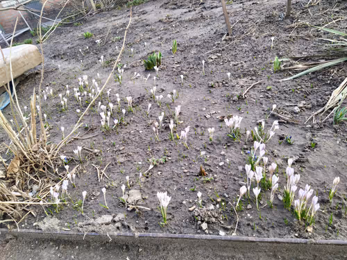 Item #41983459946325006344850038724007157971914249844141491949312563497051254423553 Media