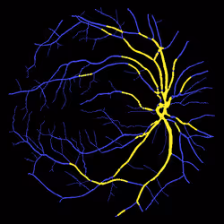 7078802064077755305879053961196844759257248211509687953083585697783344005121