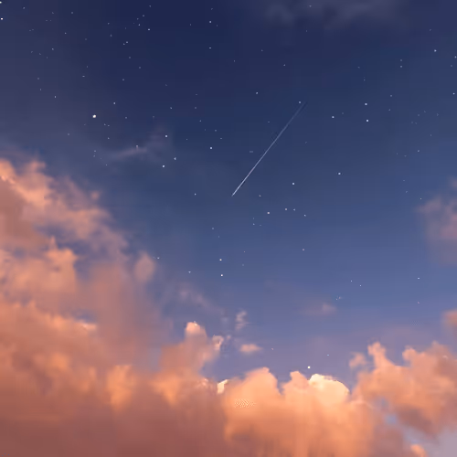 Monksohandshome Collection