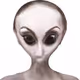 78659460725135531583023670119258347490912039647015248883718852243893728051201