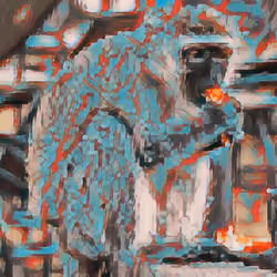 Monkey 49