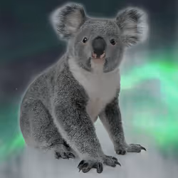 75086745474347274452093740593438062832653814310012917017256883086931844399105