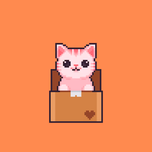 Kitty in Box #005