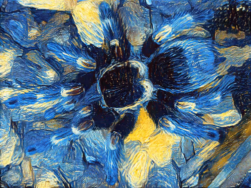 Item #40646351602563922133697867033878850405605105589938510297000370426020011966474 Media