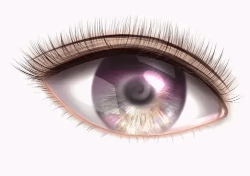 Item #42950694591796666568266939449637019646211598636303907727097118083697709416449 Media