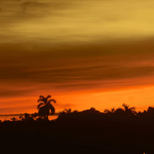 Item #95616451613255135559537494756846986786398325909633623186552519369296499965953 Media