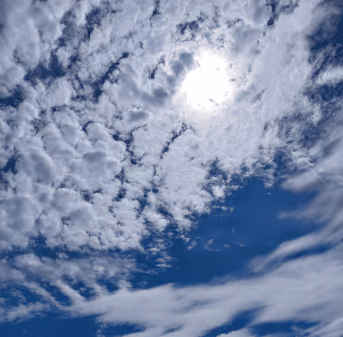 Item #39544686461479766536883784238080707397885172428163191958670928128667136557057 Media