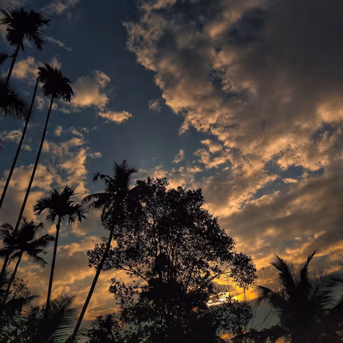 Item #96373460507912281939903112807065392587728079623754575039603803262960504143873 Media