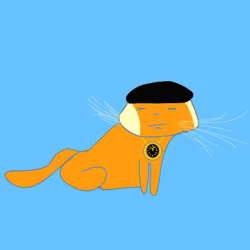 Kind Kittens Rapper