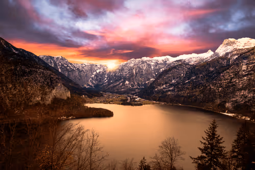 Item #26636344578717920692700769935313843753450649801489178954925375873544047558666 Media