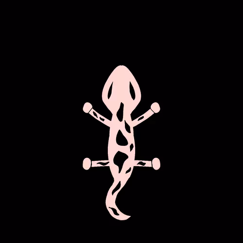 Item #84192900093071236542775364088854331914646412670809568282934807591643542192129 Media