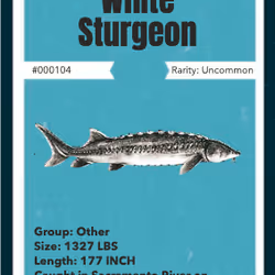 43502264269384842523243150070095810631836830099831581701628992045019920596993