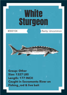Item #43502264269384842523243150070095810631836830099831581701628992045019920596993 Media
